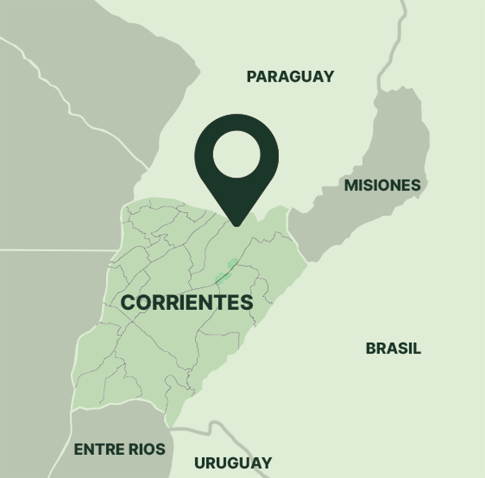 Ubicación estratégica en el parque industrial de Ituzaingó